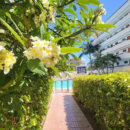 Rt-las Camelias Playa del Ingles (Gran Canaria)